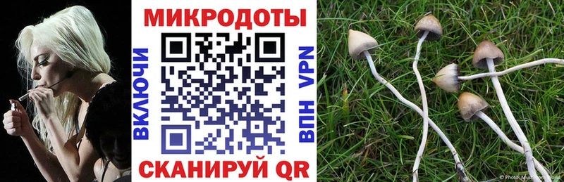 Псилоцибиновые грибы MAGIC MUSHROOMS  Яблоновский 